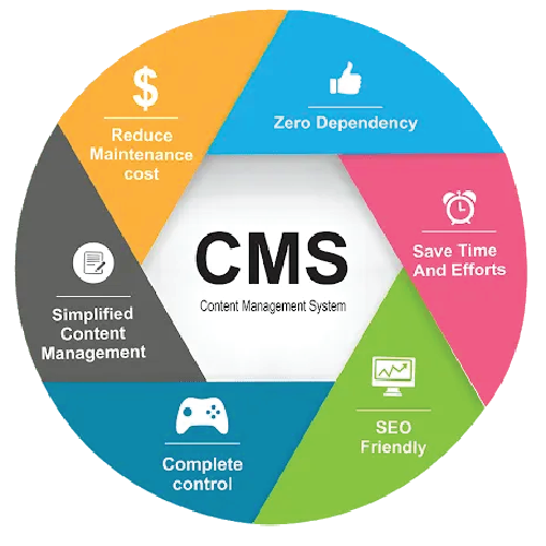 CMS<br>Development